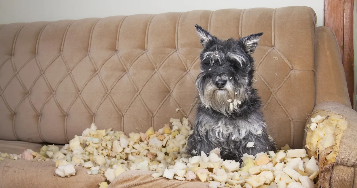 Behavioural_Correction