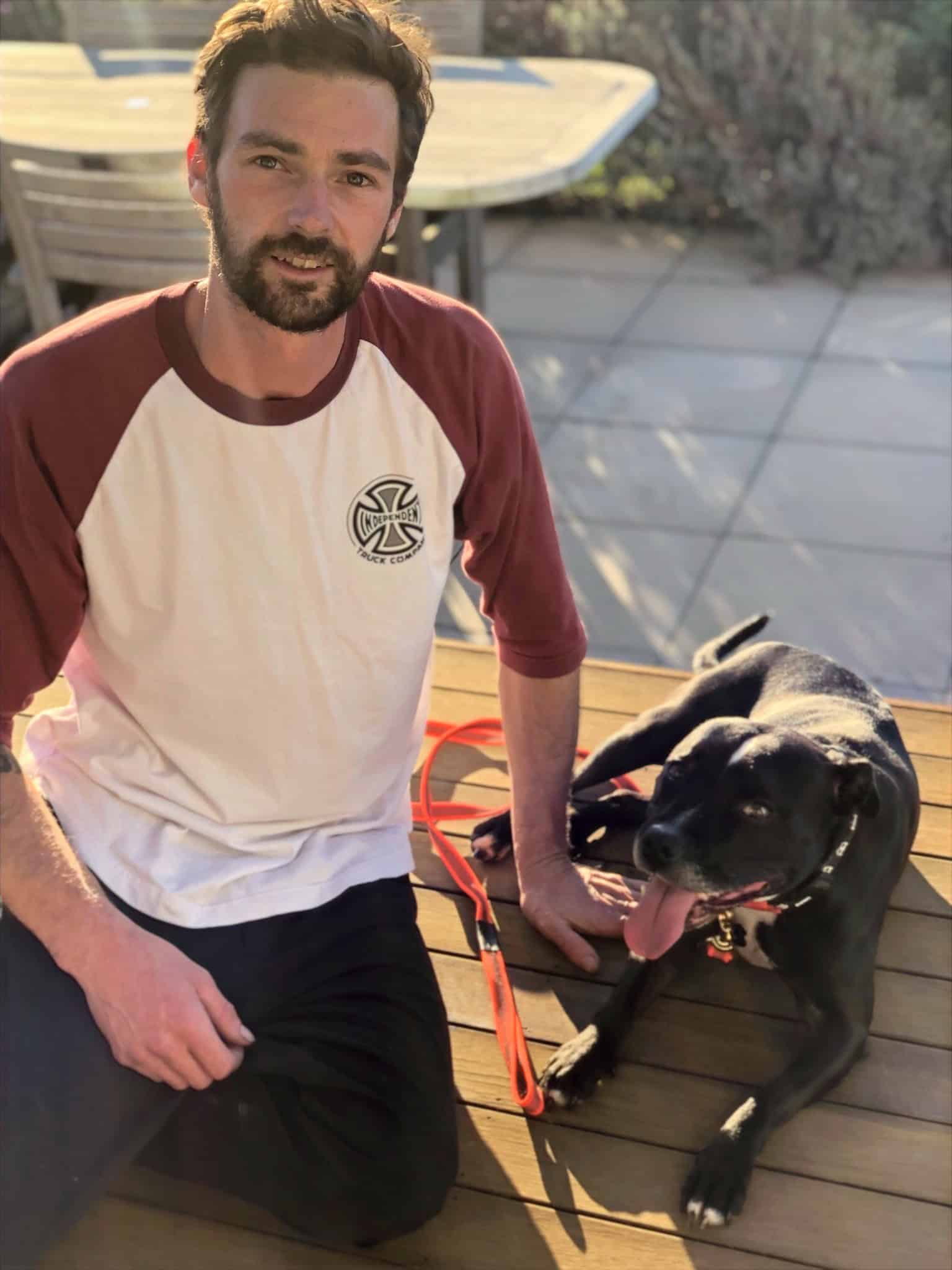 Bright_Dogs_Header_Gallery_1